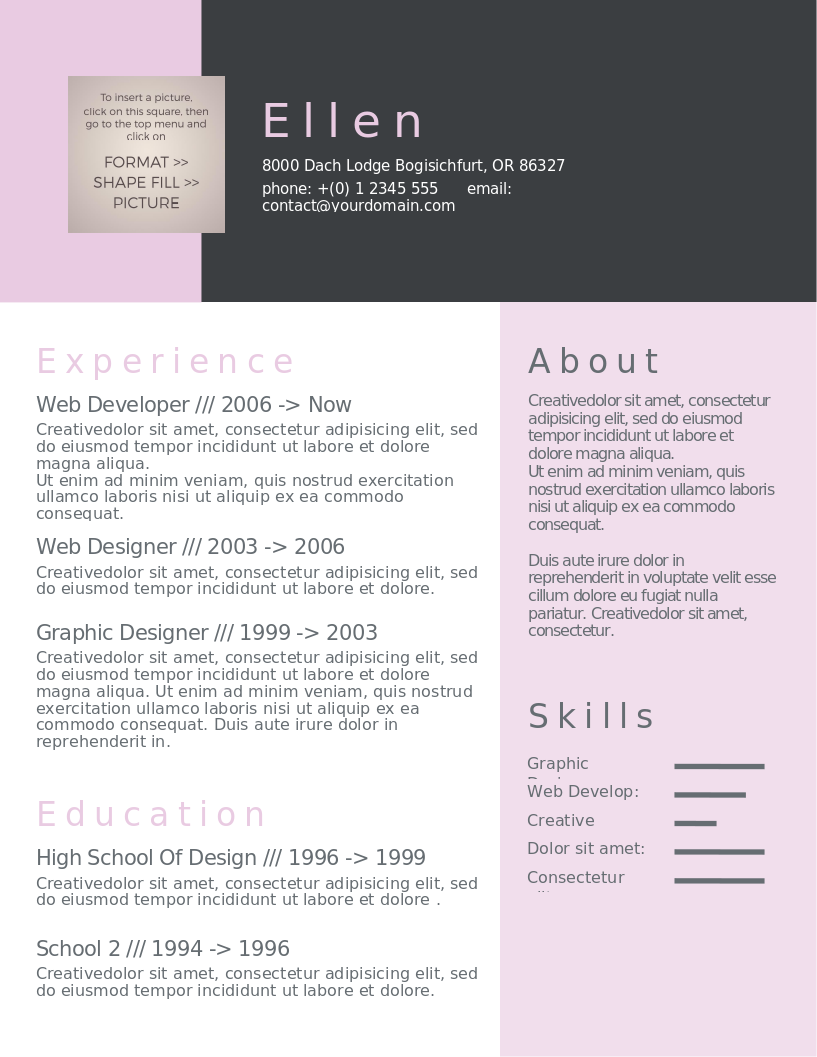 Say It With Style CV – anteprima